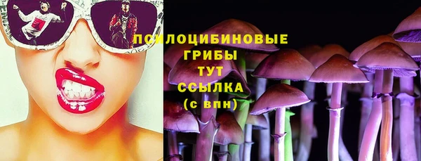 PSILOCYBIN Баксан
