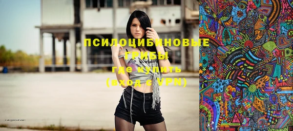 PSILOCYBIN Баксан